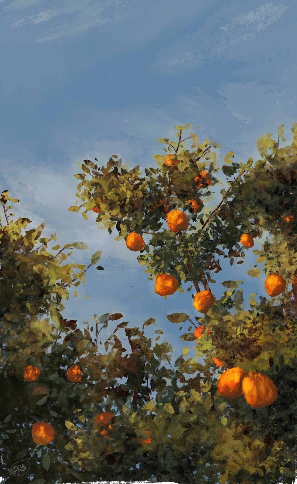 Orange
